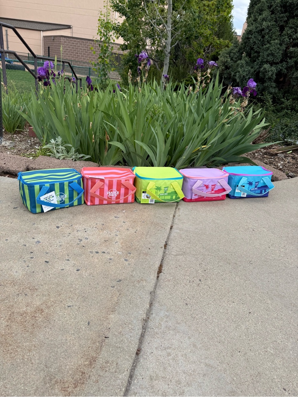 Trader Joe’s 2026 mini tote insulated bag